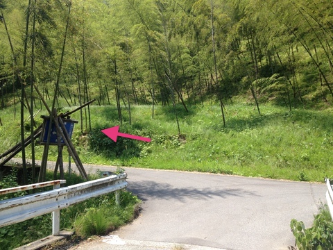 ここを左で平栗方面への林道丸島線
