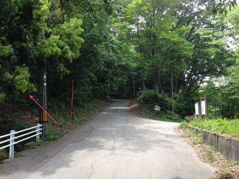 駐車場より。左手に登り小道あり