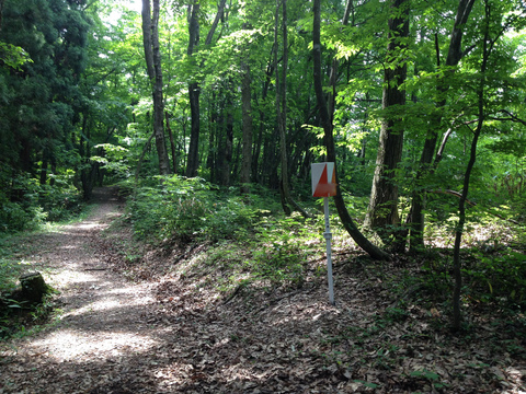 コントロール。アルファベットをメモして集める