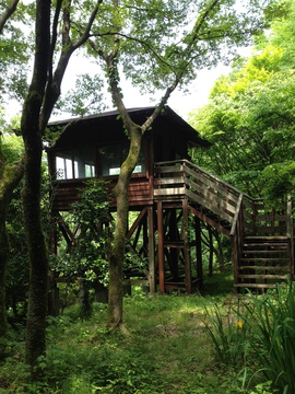 森の中の野鳥観察舎