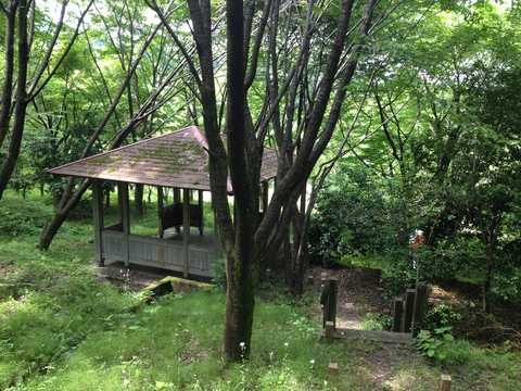東屋もあり。森の中で食事など