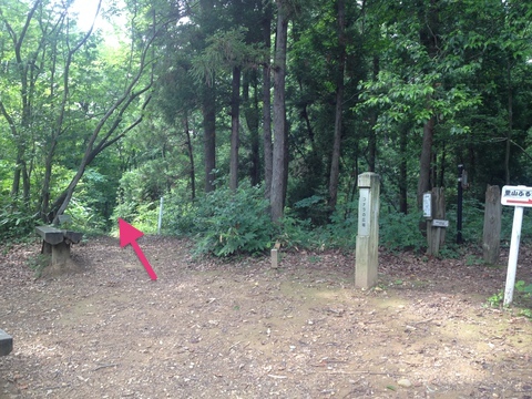 コナラの広場分岐。奥へ進むと稜線へ