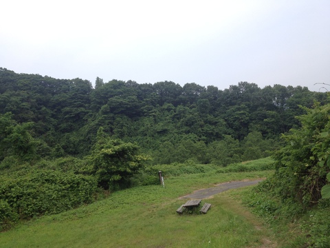 化石広場