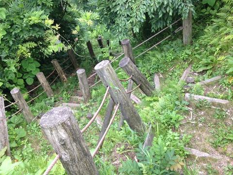 やや急な階段が続く