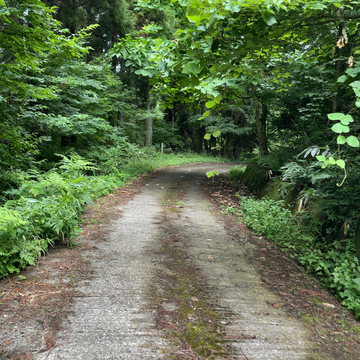 湿った舗装路。夏は涼しい