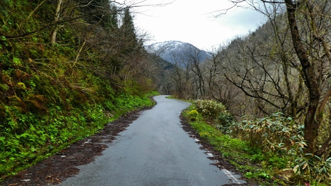 ゲートを抜けると菊水までの静かな道が続く奥には奥獅子吼山