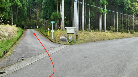 枝谷口より林道鍋谷和佐谷線に入る