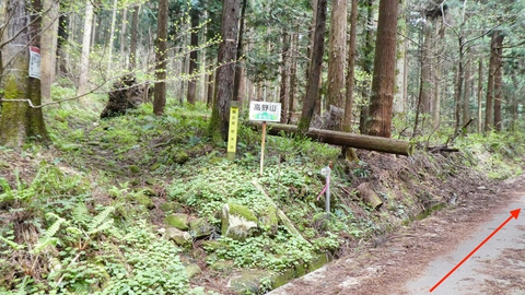 高野山登山口はスルー