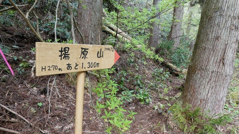 突き当たりに揚原山の案内板