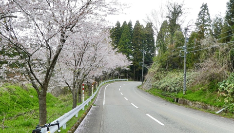 県道211号は静かな2車線の快走路