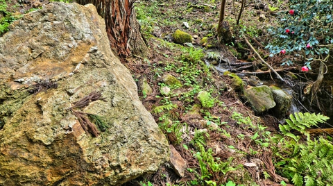 岩の大きさが大きくなってきた苔むしてるので注意