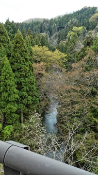 市瀬桟道橋より森下川渓谷