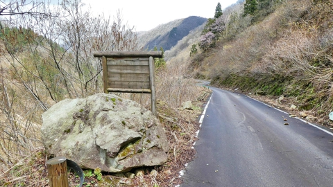 ところどころ見かける無記載の木の看板