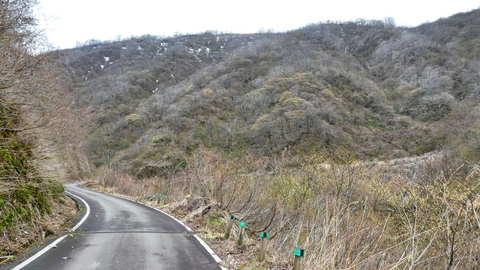 犀鶴林道最南端地点へ。道がくの字に折れ曲がる