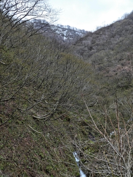 犀角林道最南端。南の奥獅子吼山を越えた涼しい風が