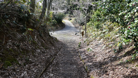 松根城跡に到着