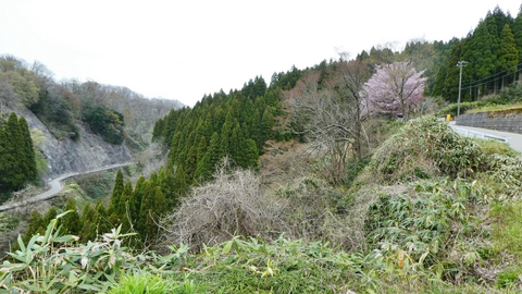 向かい側の峠道が見える、下は先程の森下川に繋がる支流