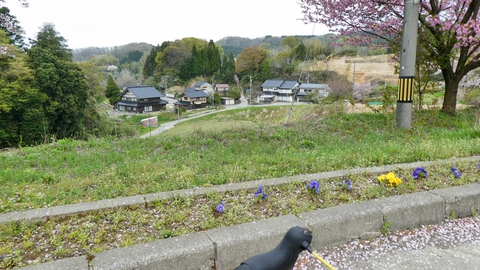 下に見えるのは堀切町