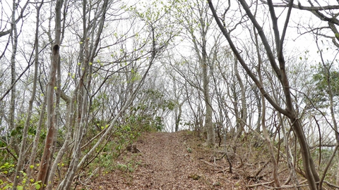 空が開けた、揚原山山頂だ