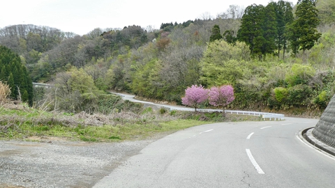 美しい山並みをみながらのワインディング