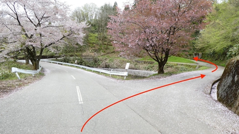 溜池があるので右で松根城への近道