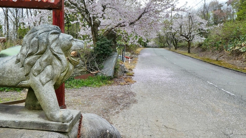 ややきつい坂を抜けたらライオンが待っている