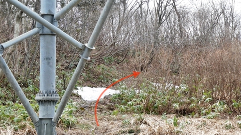 鉄塔加賀幹線28番より奥獅子吼山登山道方向右奥へ
