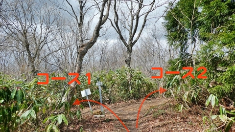 奥獅子吼山登山道へ合流
