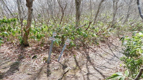 北側 奥獅子吼山へ往復で5キロ+250mくらいで戻ってくる。時間と体力でそのまま北側の後高山に行ってもいい