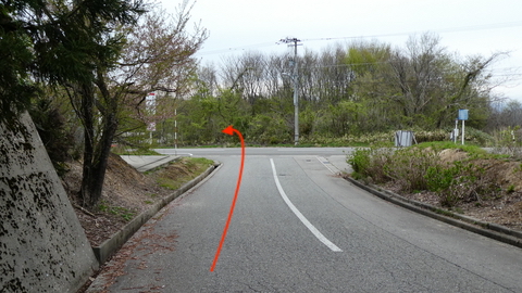 国道359号に突き当たるので左