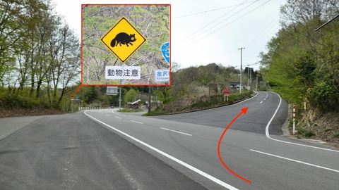 国道359号から県道213号へすぐ右に入る。タヌキが目印