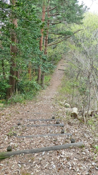 東屋からは階段が長く続く