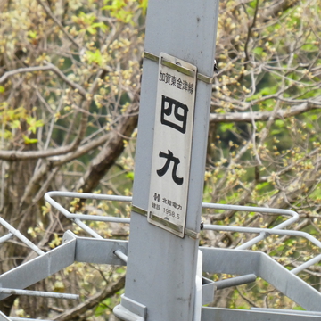 これで加賀東金津線も見納め