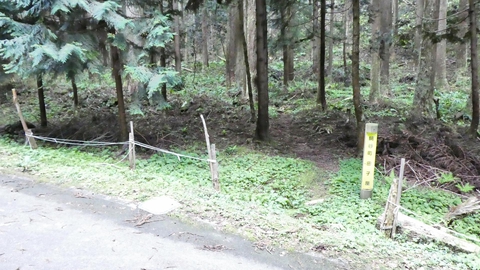 蟹淵とかに繋がってるかな？とおもったら