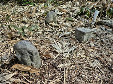 御堂山三角点734.5m