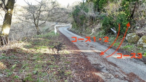 車道にでる。コース3はここスタートで奥獅子吼まで片道6km+509m