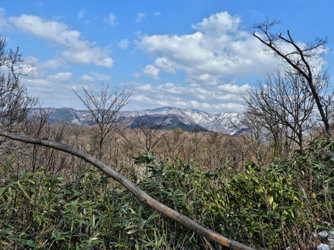 医王山ってこんなに美しかったんですね