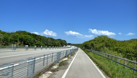 のと里山街道東側はこんな山沿いの雰囲気