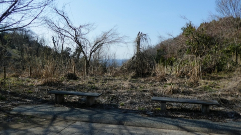 なぜかこんなところにベンチ。木が伸びる前は展望良かったのかな