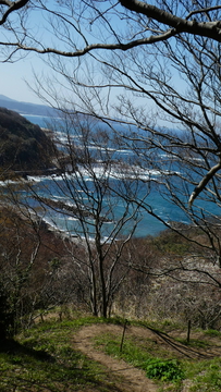 向かいの岬の防波堤が見えてきた