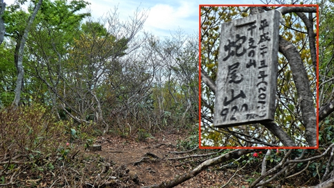 蛇尾山 山頂三角点。なんと920mと白兀山より高い