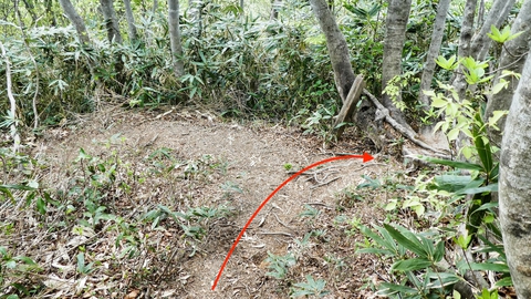真っすぐ進んで本道に合流。右へ