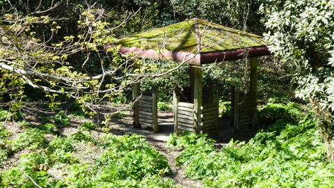 途中の東屋。苔むして風情あり