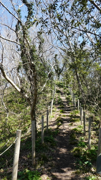 頂上への尾根。稜線になっており開放感