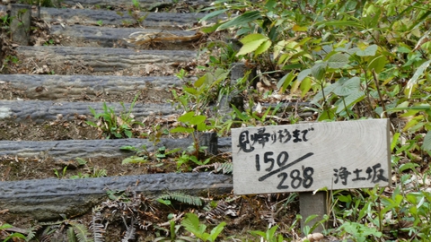 途中に経過看板あり親切