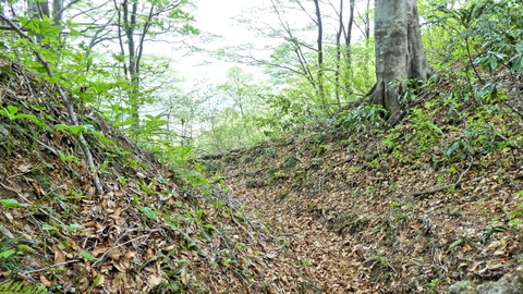 奥医王山山頂から奥は車道も人も無くとても静か