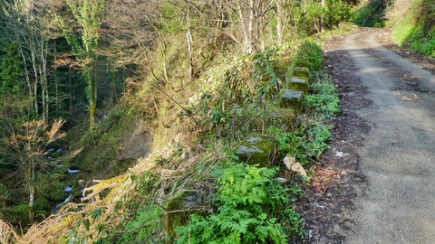 沢を見ながら谷を上がっていく