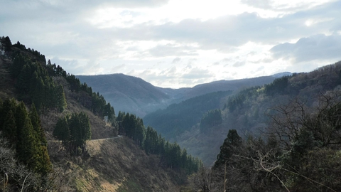 今登ってきた谷を振り返る