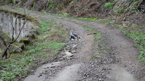 425mくらいから未舗装路に