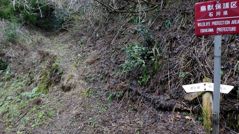 倉ヶ嶽風吹峠登り口